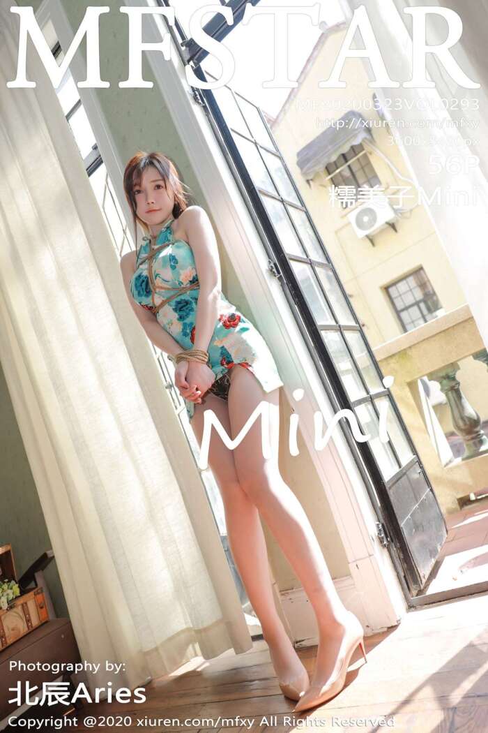 [MFStar模范学院]2020.03.23 Vol.293 糯美子Mini[56+1P148M]