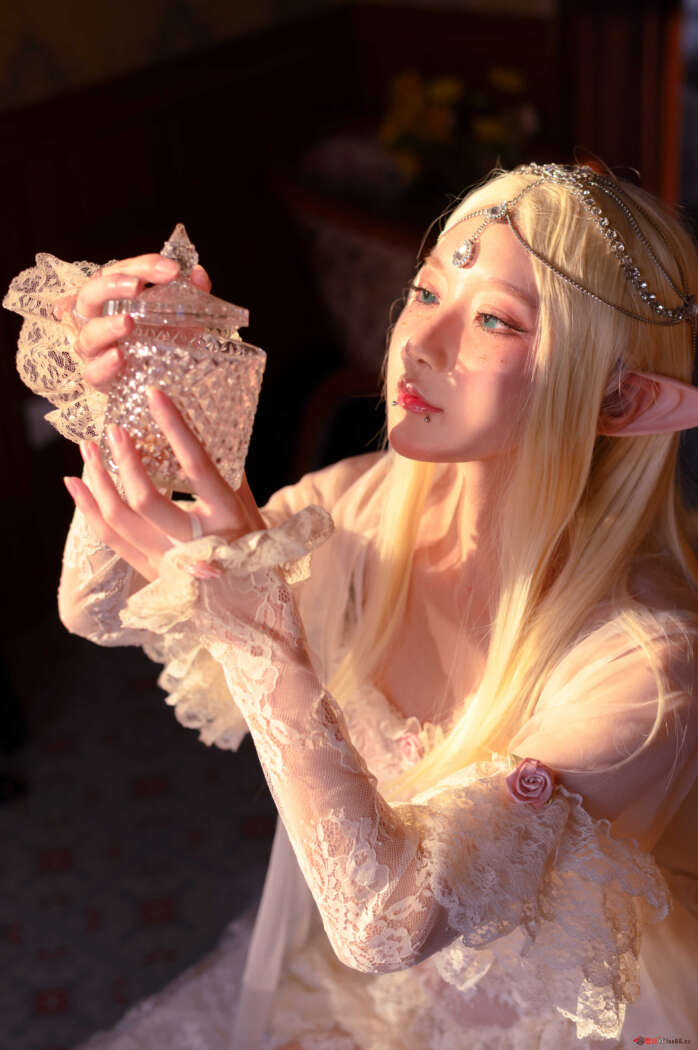 阿包也是兔娘 NO.029 精灵[25P-254MB]