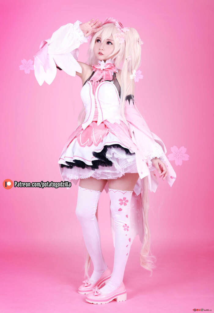 Potato Godzilla NO.023 Sakura Miku [48P-210MB]