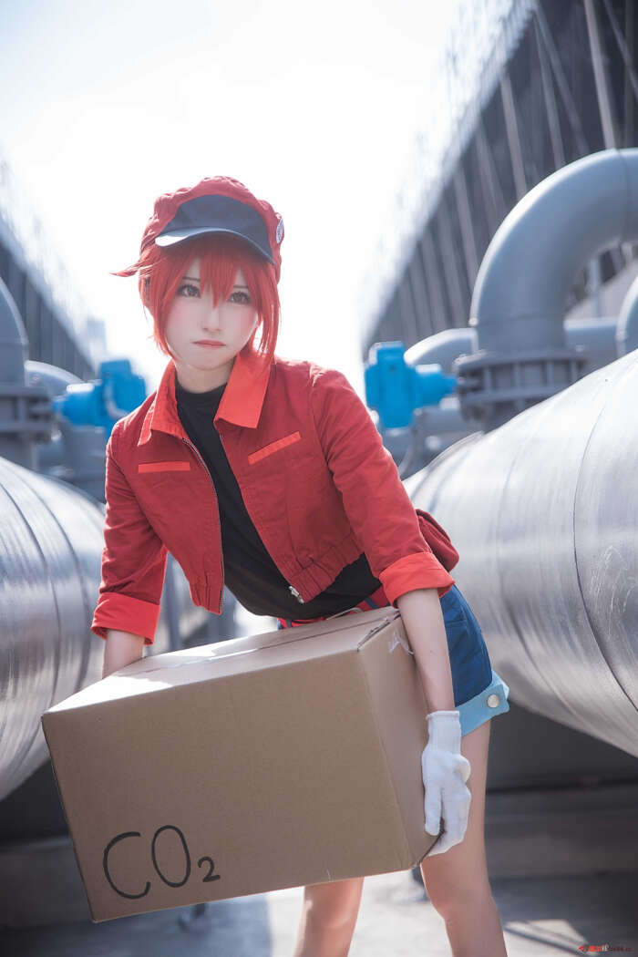 Kitaro_绮太郎 NO.017 工作细胞2 [35P-193MB]