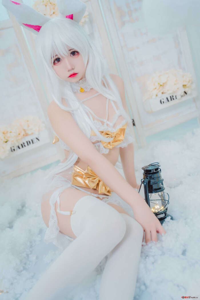 猫君君_MaoJun NO.014 私房兔子[49P1V-566MB]