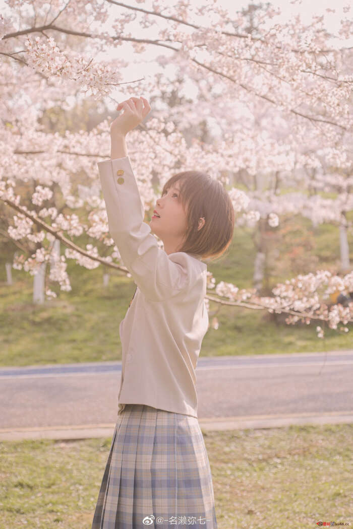 名濑弥七 NO.03 樱花 [14P-83MB]