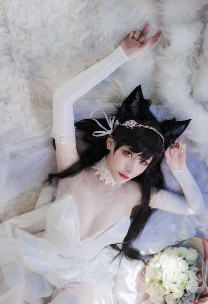 NO.006 爱宕 犬 [13P-35MB]