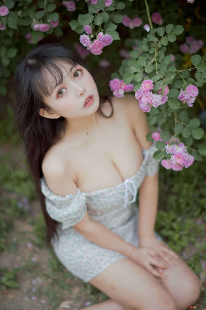 黑猫猫OvO NO.023 蔷薇2 [27P-286MB]