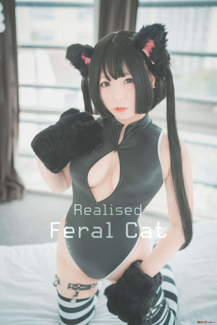 [DJAWA] Maruemon – Realised Feral Cat [55P357M]