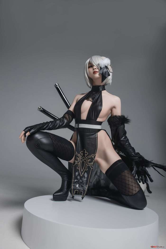 瓦斯塔亚小龙虾 2号B型 忍者 [42P-396M]