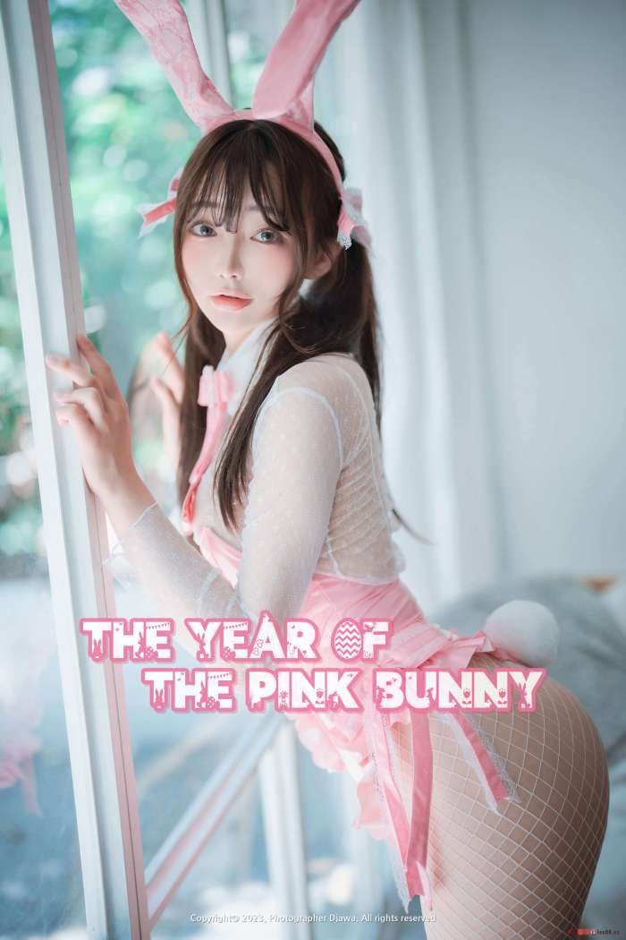 DJAWA Photo — NO.295 Newbom – The Year of the Pink Bunny + S.Ver [85P-1.70GB]
