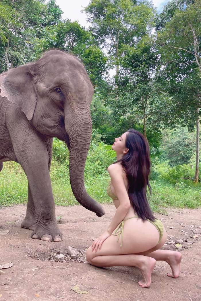 就是阿朱啊 – 人与大象 [16P-205MB]