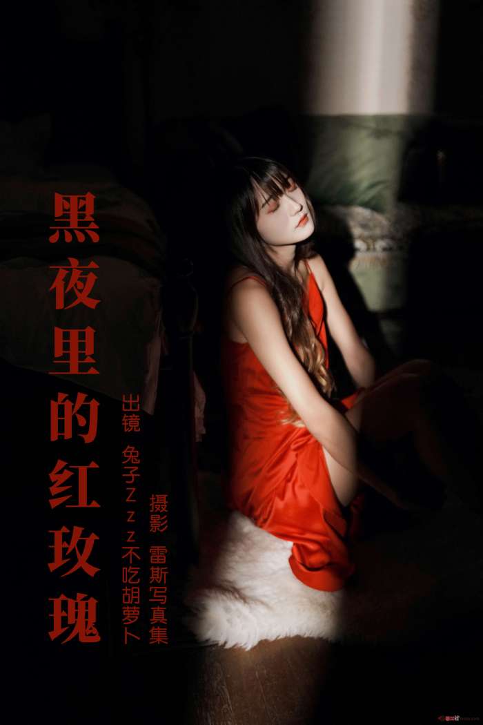 兔子Zzz不吃胡萝卜 – 黑夜里的红玫瑰 [35P358MB]