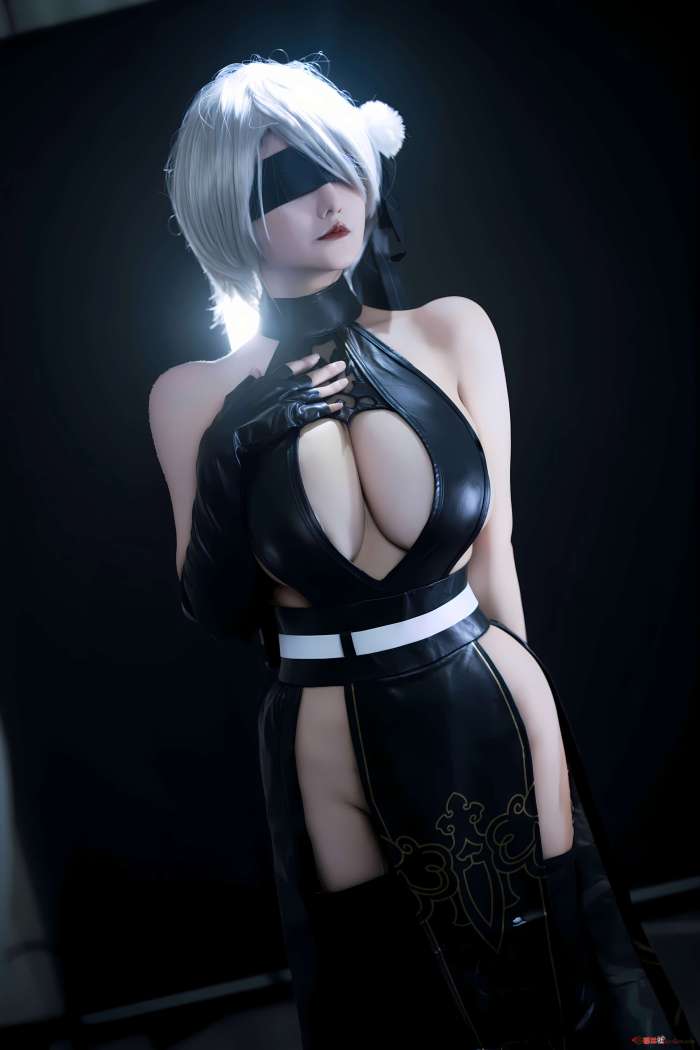 古阿扎 – 尼尔 寄叶2号B型 [53P-191MB]