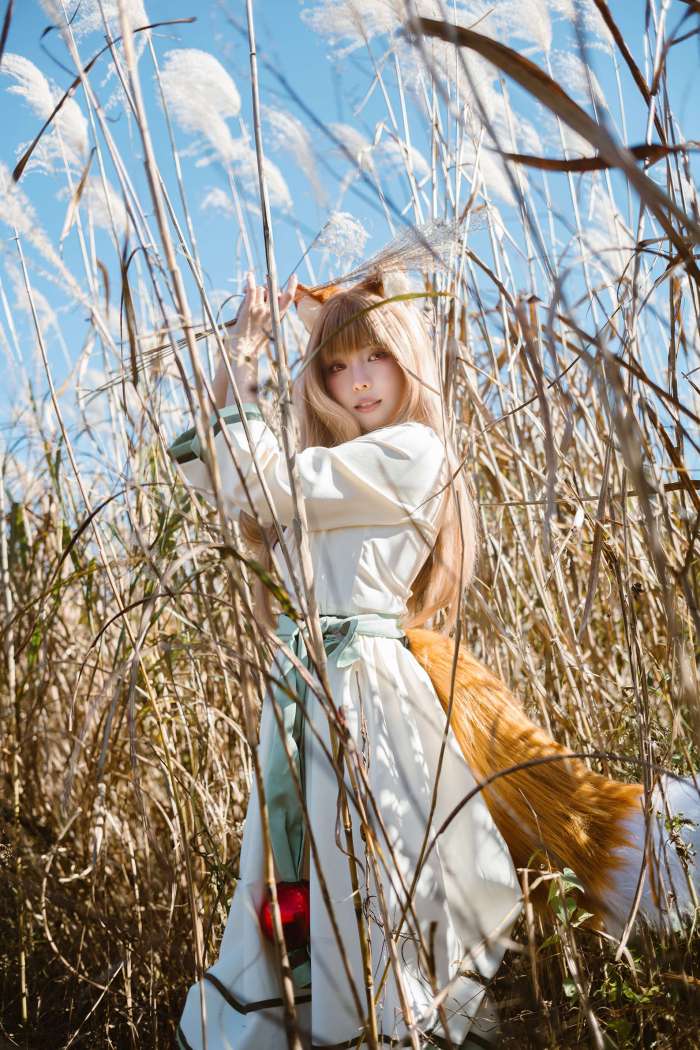 ElyEE子 – Breeze 狼與微風 [35P3V207MB]