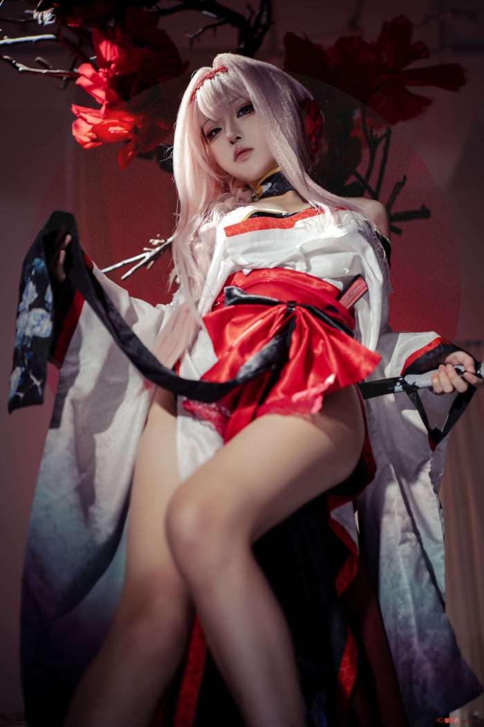 矢量鱼 – Nikke胜利女神 暗莲 [30P352MB]